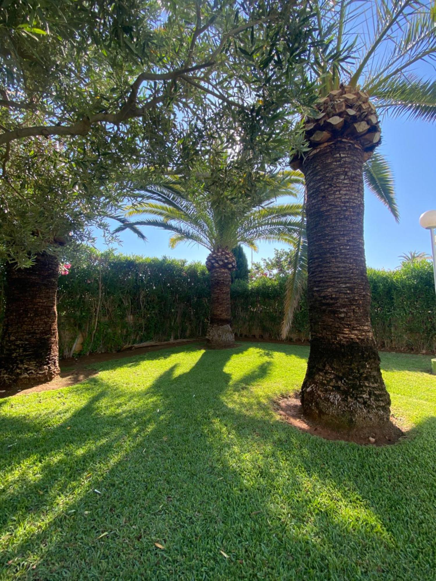 Sea Views Apartments Denia Εξωτερικό φωτογραφία